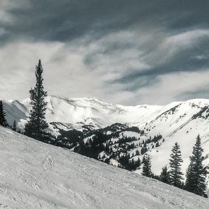 Meet your Posher, Cara